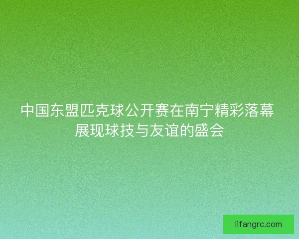 中国东盟匹克球公开赛在南宁精彩落幕 展现球技与友谊的盛会 中国东盟匹克球公开赛在南宁精彩落幕 展现球技与友谊的盛会