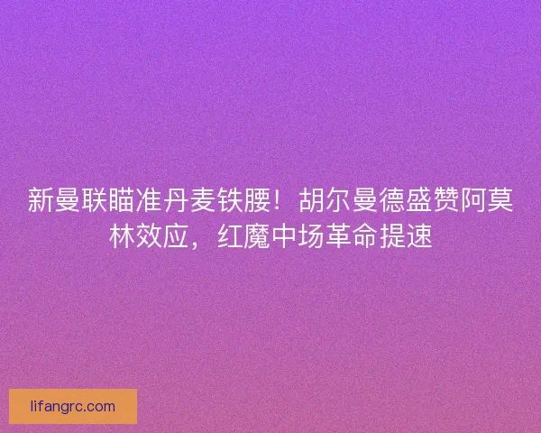新曼联瞄准丹麦铁腰！胡尔曼德盛赞阿莫林效应，红魔中场革命提速